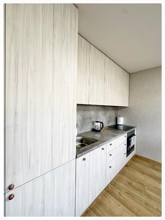 Apartaments In The City Centre 카우나스 외부 사진